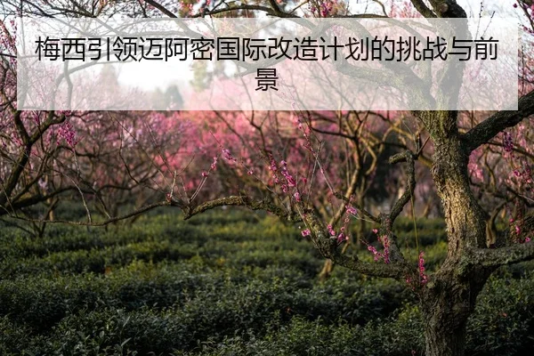 梅西引领迈阿密国际改造计划的挑战与前景